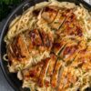 Alfredo penny pasta with lemon butter chicken